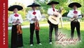 Mariachi Traditions of Sacramento image 6