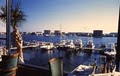 Marina Cafe image 10