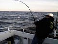 Maryland Fishing image 6