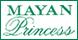 Mayan Princess Condominium image 8