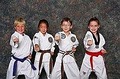 Medina Kenpo Karate - Delaware County Karate and Kickboxing image 1
