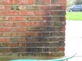 Michigan Pressure Washing   -  professional cleaning services image 6