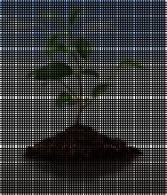 Midwest Laboratories Inc. image 6