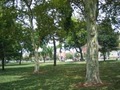 Military Park image 3