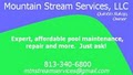 Mountain Stream Services logo