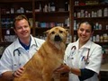 Mt Hermon Animal Clinic image 4