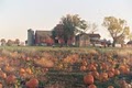 Mulberry Lane Farm image 3