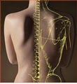 NEL CHIROPRACTIC image 5