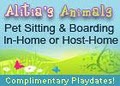NYC Pet Sitting by Alitia's Animals image 2