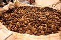 Natchitoches Pecans Inc. image 3