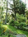 Olema Druids Hall Bed and Breakfast Inn and Cottage image 10