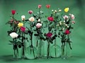 Our Flower & Gift Shoppe image 3