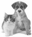 PET PAL Pet Sitting Services image 5