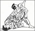 Pacific Judo & Ju-Jitsu Academy image 1