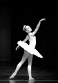 Pamela Myers Wurdeman's Academy of Dance-Arts & Performance image 1