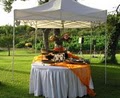Party Solutions |    Chino Hills image 10
