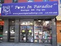 Paws In Paradise logo