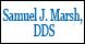 Pediatric Dentistry: Marsh Samuel J DDS image 2