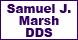 Pediatric Dentistry: Marsh Samuel J DDS image 1