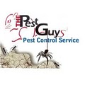 Pest Guys image 1