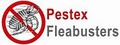 Pestex Fleabusters image 2
