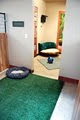 Pet Play House image 8
