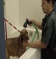 Pet Wash Center image 2