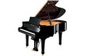 Piano Gallery image 3