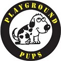 Playground Pups image 2