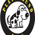 Playground Pups image 4