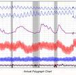 Polygraph Lie Detector Truth Verification False Allegations image 3