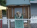 Preppy Pup Petcare Center image 6