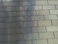 Pro Roof Cleaning image 5