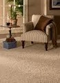 Professional Carpet Cleaning image 5