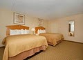 Quality Inn & Suites image 4