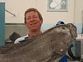 Quality Seafood Restaurant & Oyster Bar image 1