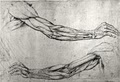Raven Orthopaedics and Hand Surgery logo