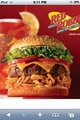 Red Robin Gourmet Burgers logo