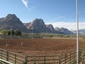 Red Rock Riding Stables image 1