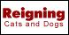 Reigning Cats & Dogs logo