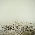 Reliable Certified Mold removal image 5