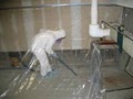 Reliable Certified Mold removal image 8