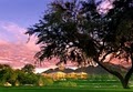 Renaissance Esmeralda Indian Wells Resort & Spa image 1