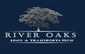 River Oaks Limo and Transportation image 10