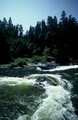 Rogue River Jet Boat Tours - Mail Boat Hydro-Jet Trips logo