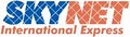SKYNET International Express logo
