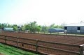 SaddleBack Equestrian image 3