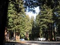 Santa Cruz Redwoods RV Resort image 2