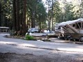 Santa Cruz Redwoods RV Resort image 3