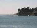 Santa Cruz Redwoods RV Resort image 4